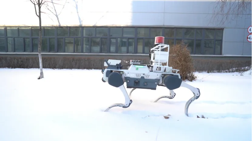 DEEP Robotics quadruped in snow